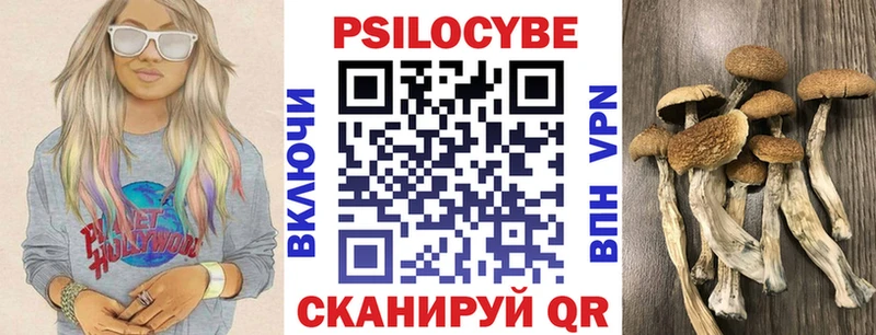 кракен как войти  Куса  Галлюциногенные грибы Magic Shrooms 